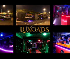 Onibus Balada - Walking Party