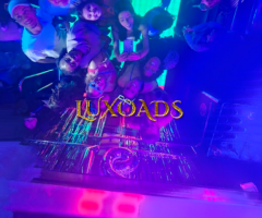 The Bus Ônibus Balada