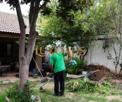 Corte de grama: Foz do Iguaçu - Faça sua reserva Gratuitamente - Atende todas as regiões - 3